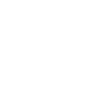Chicago Sox Bar and Grill Logo